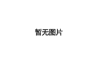 莫蘭迪灰TG312660