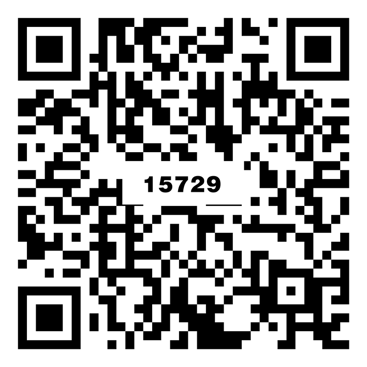 凱影灰 TG15729