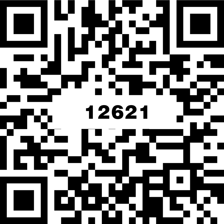 啡斯瑪淺灰 TG12621