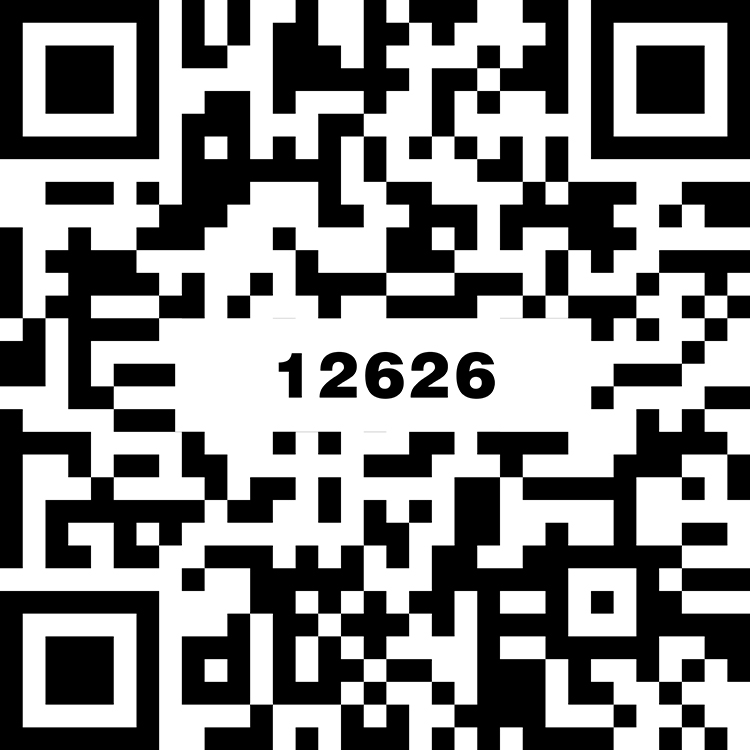 名爵中灰 TG12626