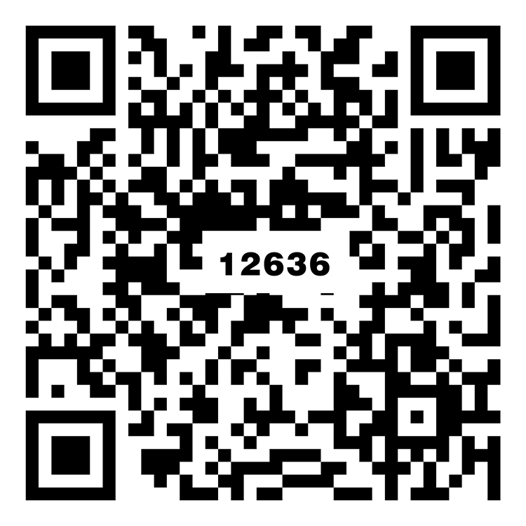 卡斯特灰  TG12636
