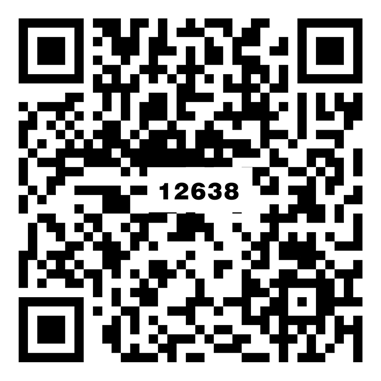 西雅灰 TG12638