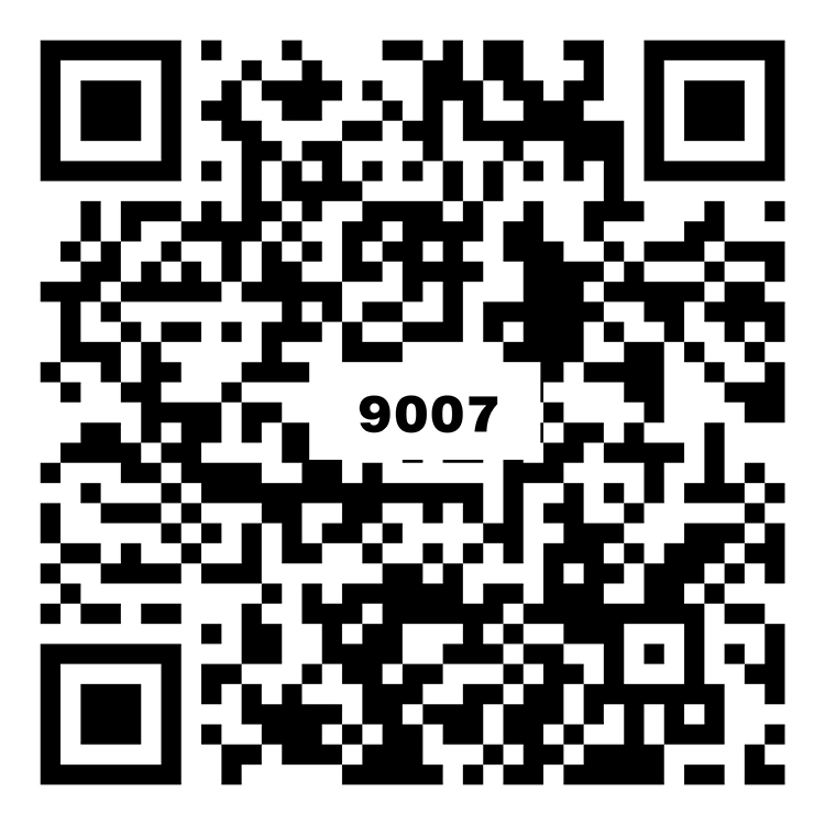  里約灰 H9A007