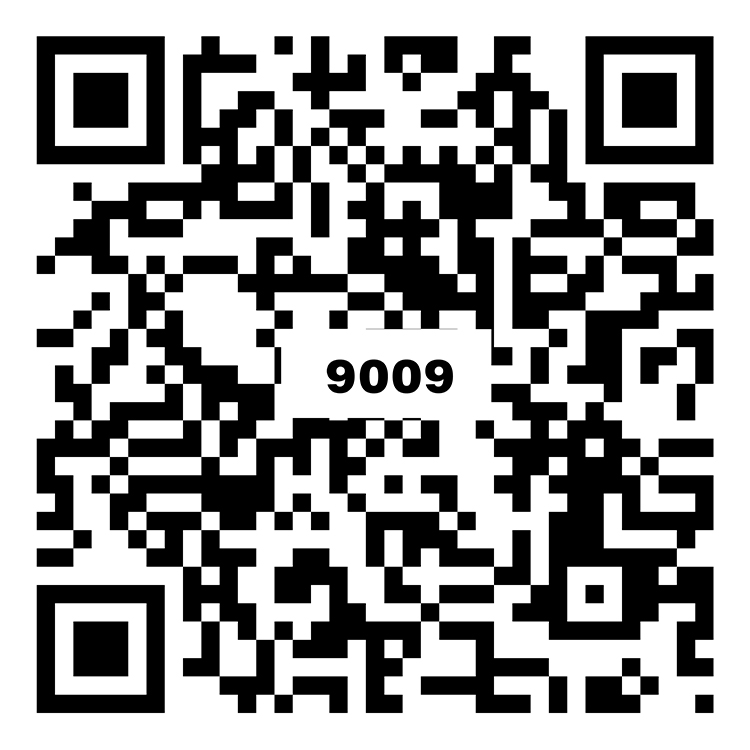  印象灰 H9A009