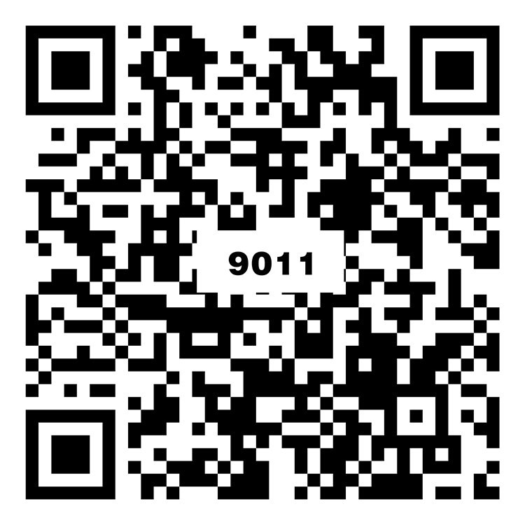 都拉斯灰 H9A011