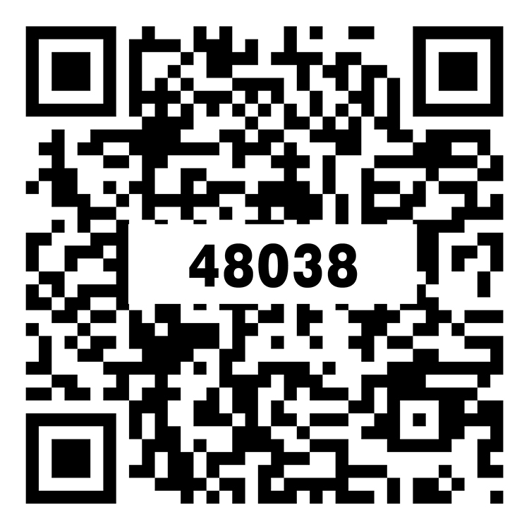 伊利諾伊 TZ48038