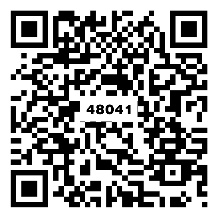 印象灰 TZ48041