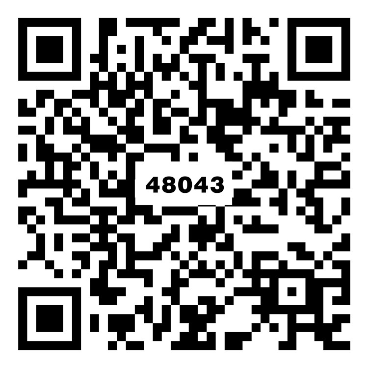 佛羅倫薩灰 TZ48043