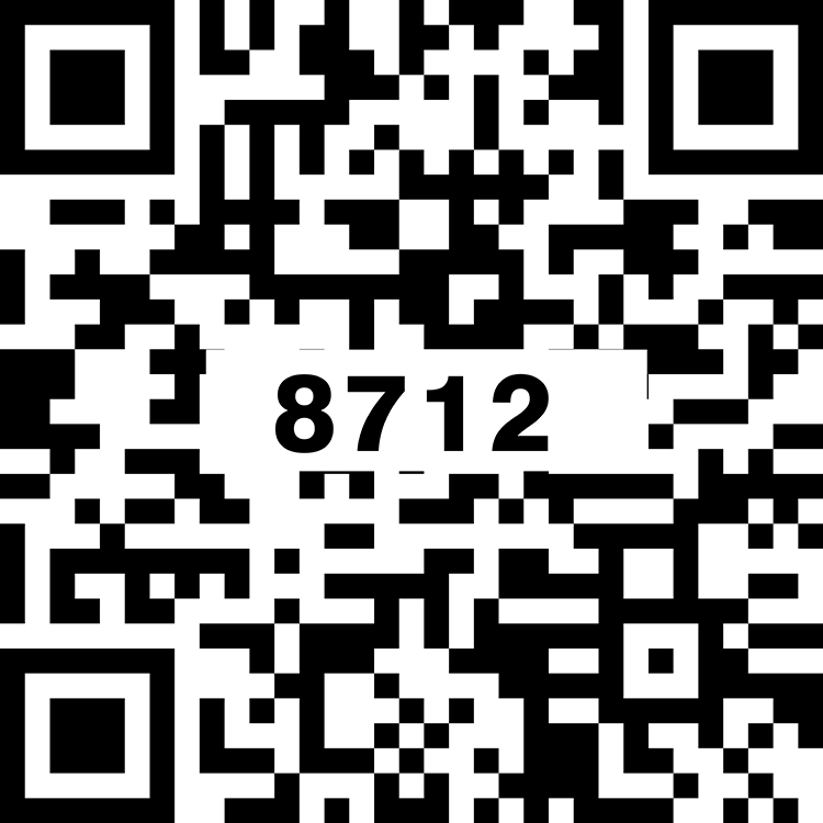 TS8712