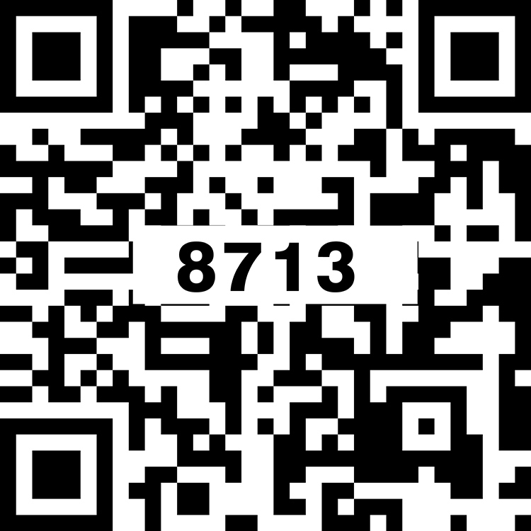 TS8713