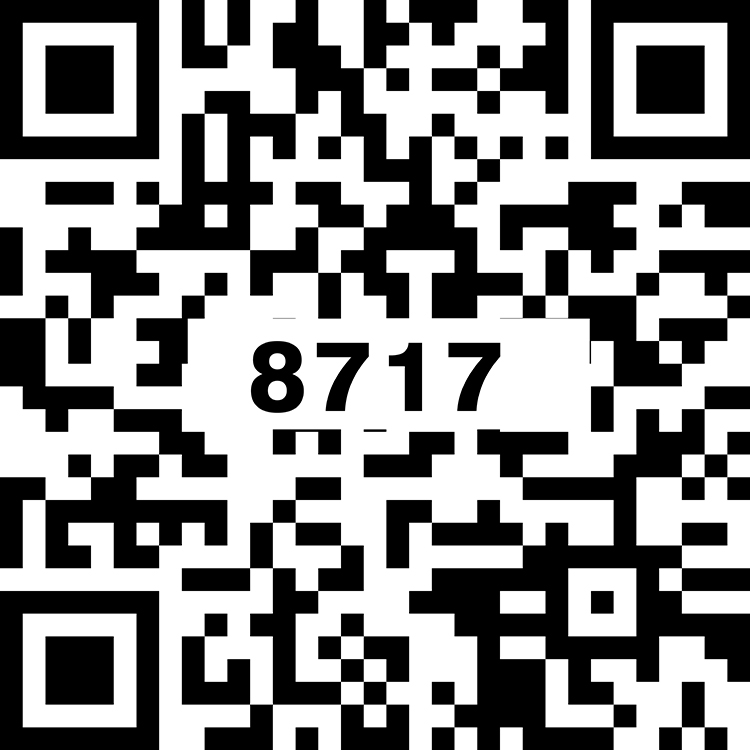 TS8717