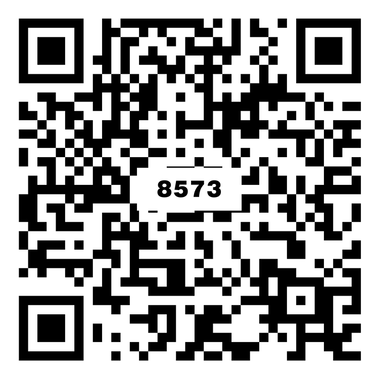 費爾斯淺灰 TG8573