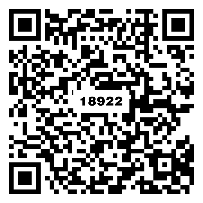 巴西中灰TG18922