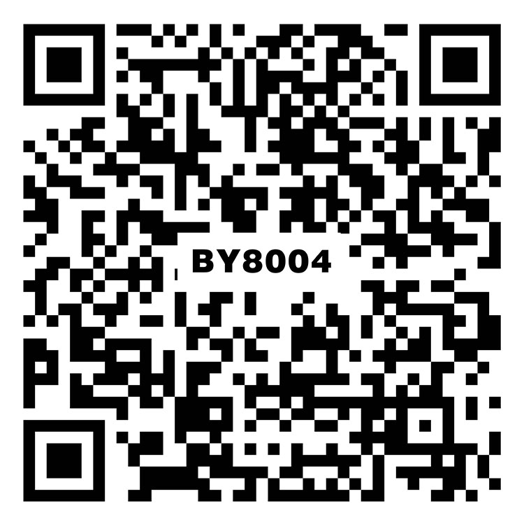 斯爾奇灰BY8004