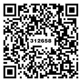 高級斯淺灰TS312658