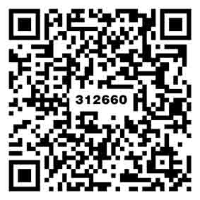 妮卡灰TG312661