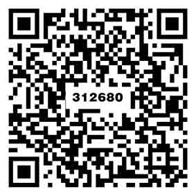 素雅灰TG312680