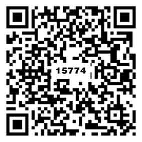 妮卡淺黃TG15774