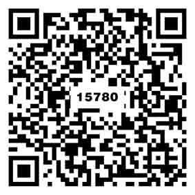 素雅灰TG15780