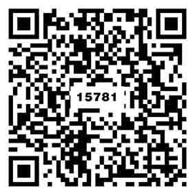 素雅暖灰TG15781