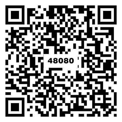 素雅灰TZ48080