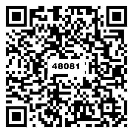 素雅暖灰TZ48081