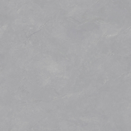 阿斯頓中灰TG8690