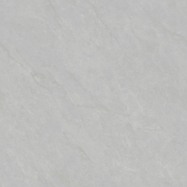 多利亞灰TG8693