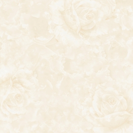 TC8212